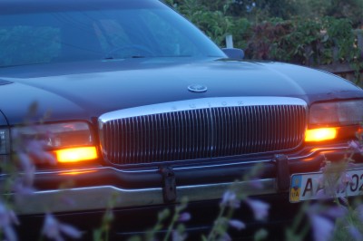 DSC_5295.JPG