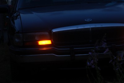 DSC_5293.JPG
