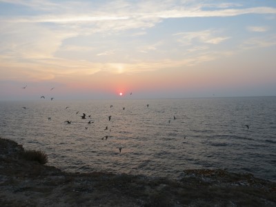 IMG_2572.JPG