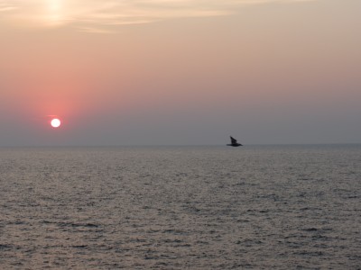 IMG_2573.JPG