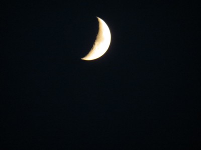 IMG_2775.JPG