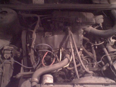 SP_A2466.jpg