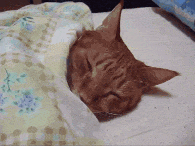 tumblr_mlkrbedjMz1rw1wnno1_400.gif