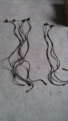 IMAG1175.jpg