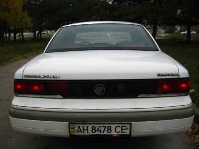 IMG_7512_resize.JPG