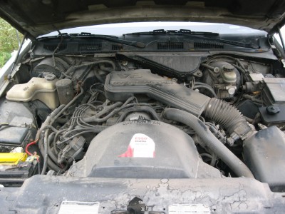 IMG_7521_resize.JPG