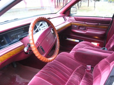 IMG_7523_resize.JPG