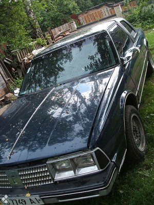 3535462f.jpg