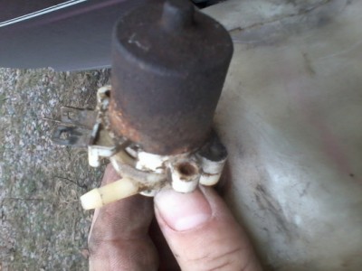 2013-11-20 12.01.04.jpg