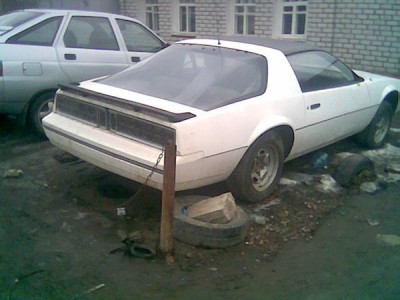 006.jpg