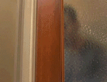 Shok_i_udivlenie.gif