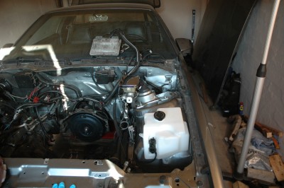 DSC_3106.JPG