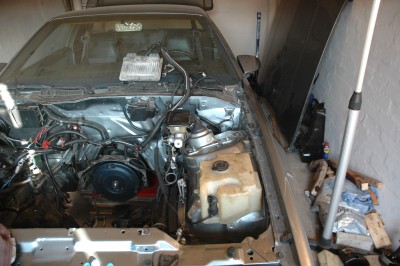 DSC_3104.JPG