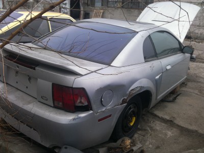 IMAG0284.jpg