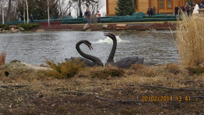 IMG_0897.JPG