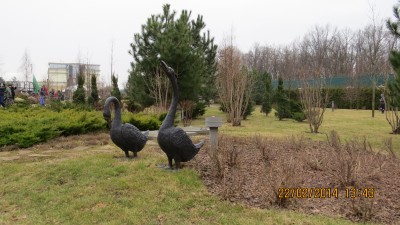 IMG_0899.JPG