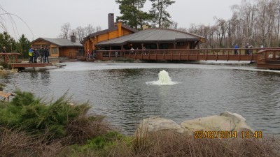 IMG_0900.JPG