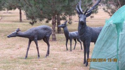 IMG_0915.JPG