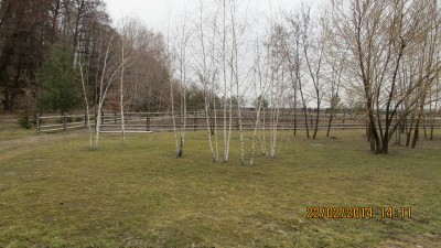 IMG_0951.JPG