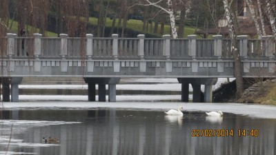IMG_0999.JPG