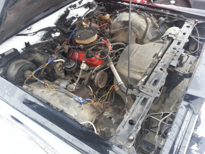20130130_111552.jpg