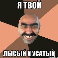 Усатый.jpeg
