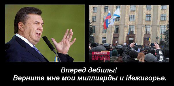getImage (4).jpg