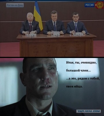 3087187.jpg
