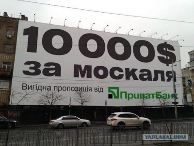 3103767.jpg