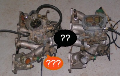 wtf01.jpg