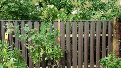 20140605_162336.jpg