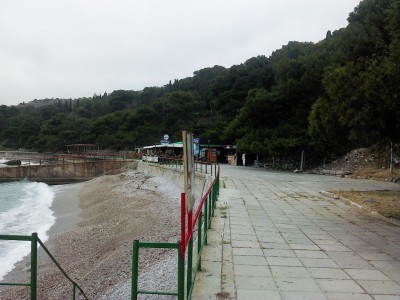 IMG10020.jpg