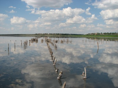 IMG_3956.JPG