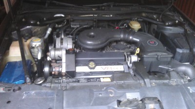 IMAG0259.jpg