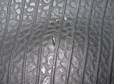 TYRE02.jpg