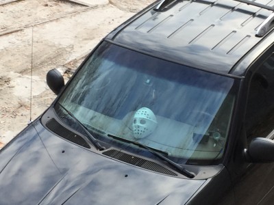 image.jpg