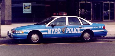 anypd5-vi.jpg