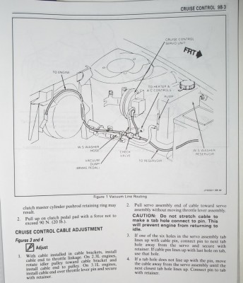 IMG_3812.jpg~original.jpg