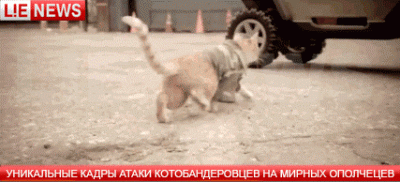 9b1fd2db4dbc.gif