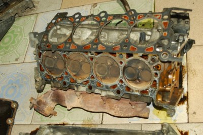 DSC_8102.JPG