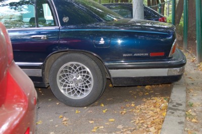 bd45498s-960.jpg