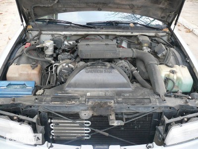 118220042fx.jpg