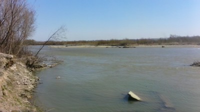 IMG_20150410_124653.jpg