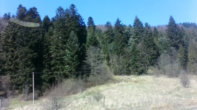 IMG_20150410_120259.jpg