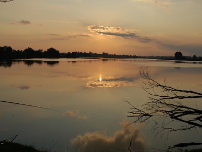 DSC_1517_hf.jpg