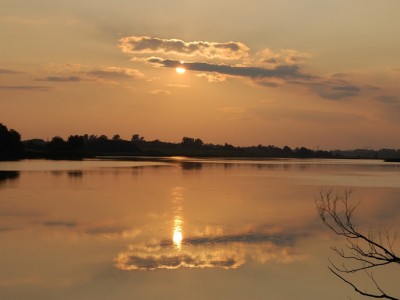 DSC_1519_hf.jpg