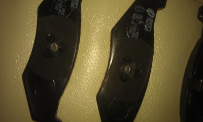 IMAG0337.jpg
