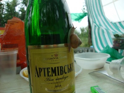 DSC06770.JPG