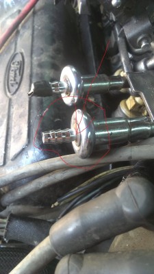 IMAG0446.jpg