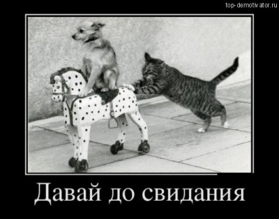 Давай-до-свидания-533x417.jpg